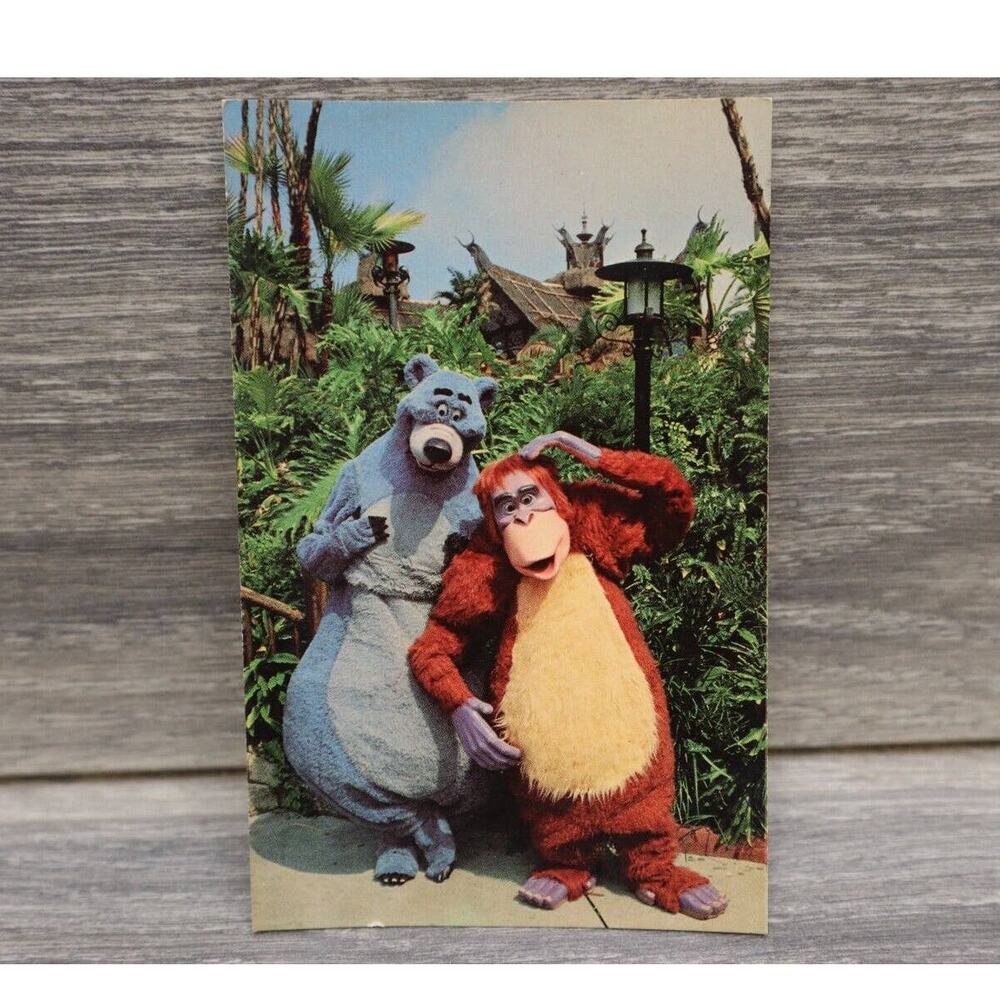 Walt Disney World King Jungle Book Vacation Kingdom Postcard Theme Park Souvenir